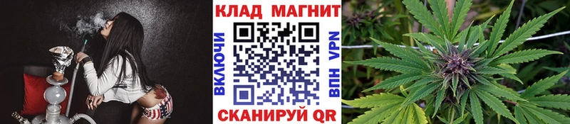 Где найти наркотики Череповец ГАШ  МАРИХУАНА  Галлюциногенные грибы  МЕФ  A PVP 