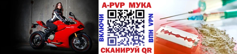 Альфа ПВП СК КРИС  Череповец 