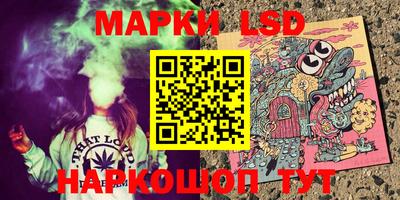 гашик Дмитров