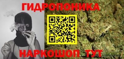 прущие грибы Добрянка