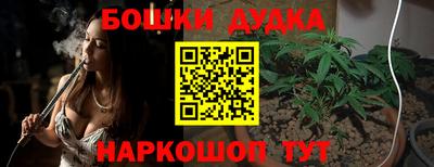 гашик Дмитров