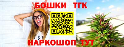 гашик Дмитров
