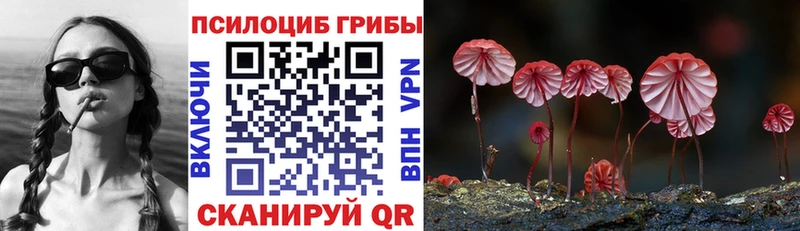 Псилоцибиновые грибы мухоморы  Череповец 
