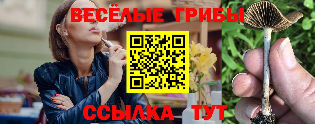 Череповец  Галлюциногенные грибы Cubensis  Вход с VPN  Галлюциногенные грибы мухоморы 